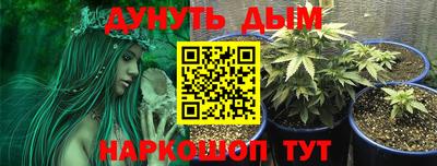 jwh Нальчик