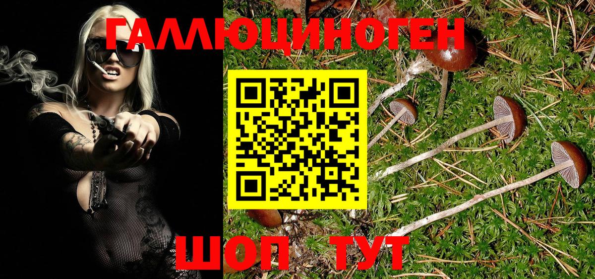 Псилоцибиновые грибы MAGIC MUSHROOMS Усинск